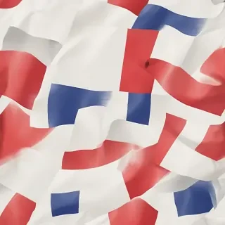 french flag png