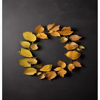 leaf circle