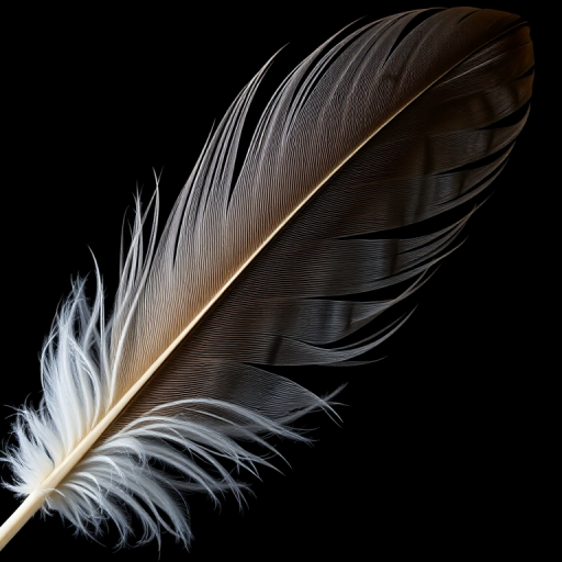 photograph a large, detailed feather on a black background, using a macro lens, f/2.8 aperture, 1/125 sec exposure, ISO 100, top-down view, high dynamic range for enhanced texture and contrast