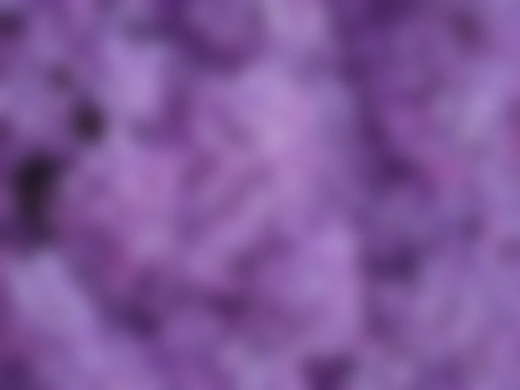 lilac background