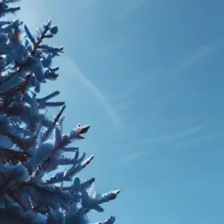 aesthetic blue pictures