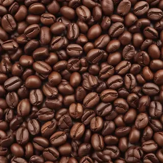 coffee bean png