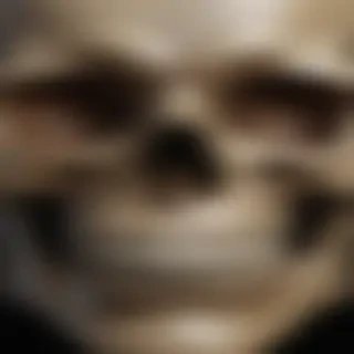 skull face png