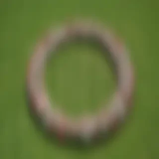 flower circle