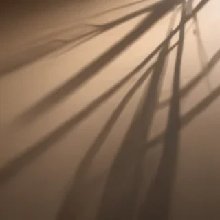 shadow wallpaper