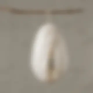 butterfly cocoon png