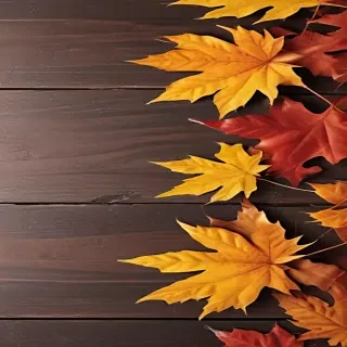 fall iphone background