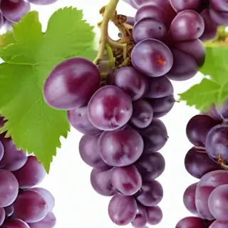 grape png