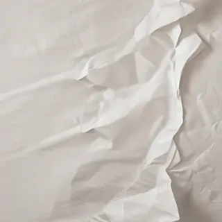 wrinkled paper overlay