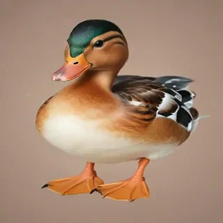 duck clipart