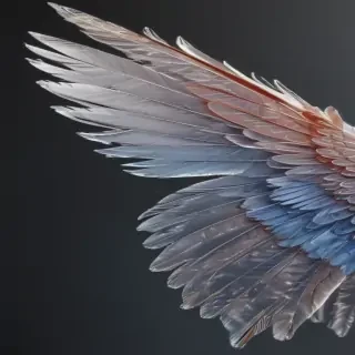 wings transparent