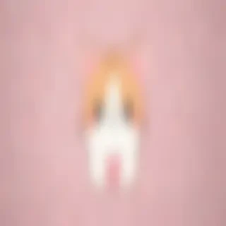 cute wallpaper