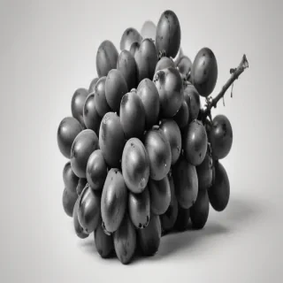 grapes clipart black and white