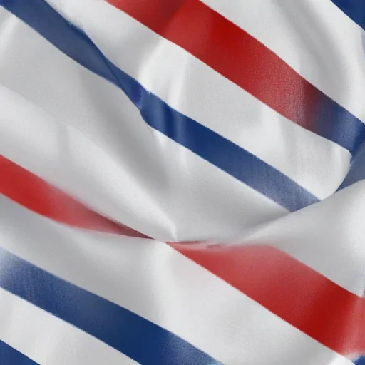 france flag