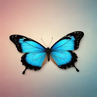 butterfly back ground