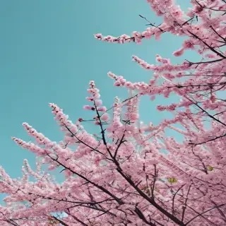 spring backgrounds aesthetic