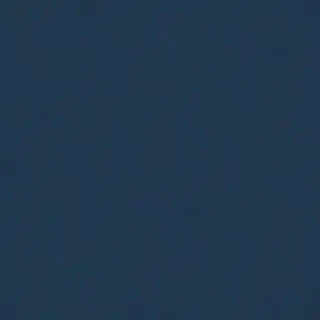 light navy blue background