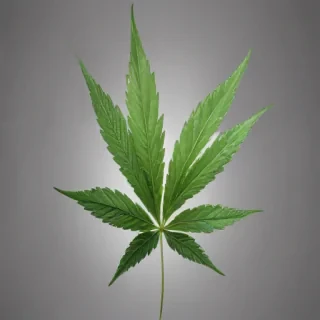 marijuana leaf transparent background