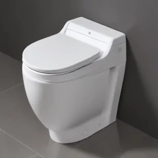 toilet png