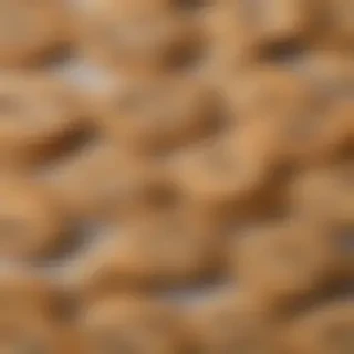 cookie background