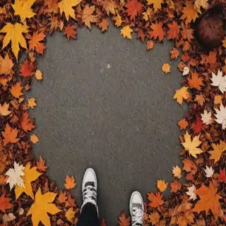fall wallpaper iphone aesthetic