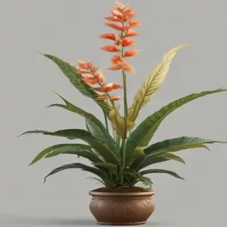 plant png clipart