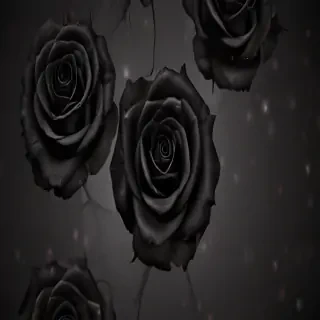 black roses background