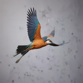 png birds flying