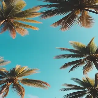 summer backgrounds aesthetic