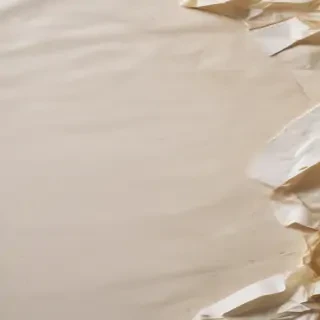ripped paper texture