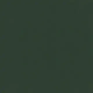 dark green bg