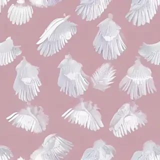 angel wing pictures