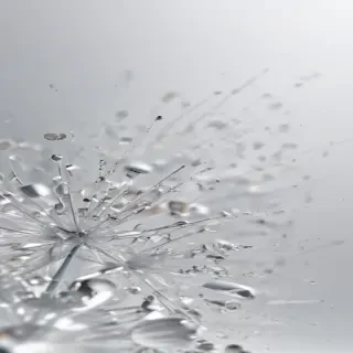 sparkles white background