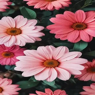iphone flower background
