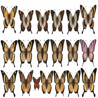 mariposas png