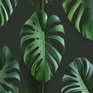 aesthetic monstera wallpaper