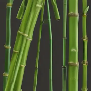 bamboo png
