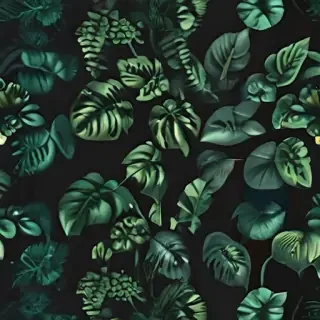 plants iphone wallpaper