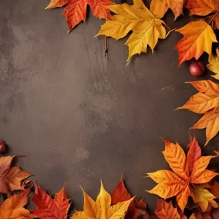 wallpaper autumn iphone
