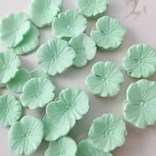 aesthetic mint green