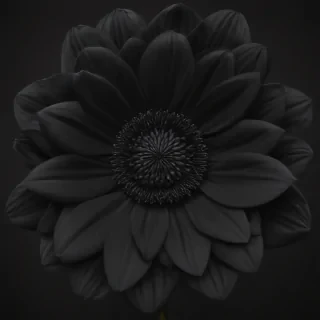 black flower