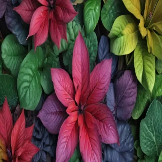 plants iphone wallpaper
