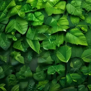 green wallpaper for iphone