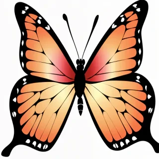 butterfly clipart transparent background