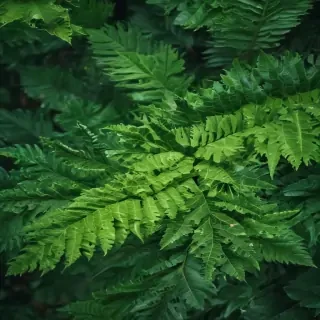green iphone wallpaper