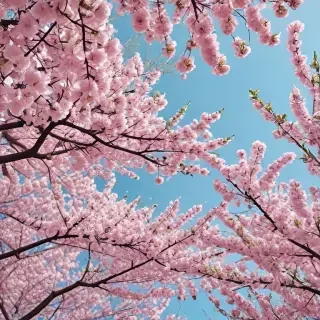 spring aesthetic wallpaper