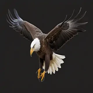 eagle fly png