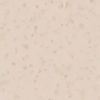 neutral aesthetic wallpaper