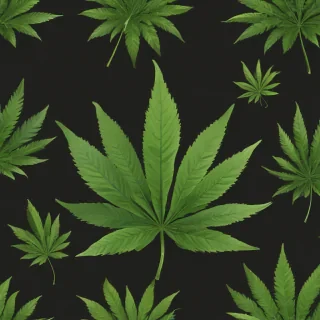 weed leaf png