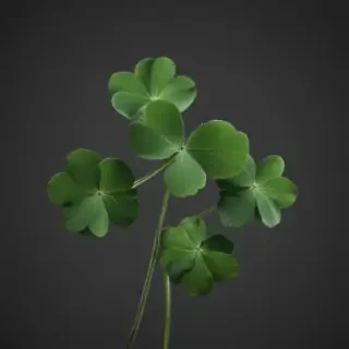 clover png